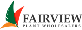 Fairview Plant Wholesalers - SA